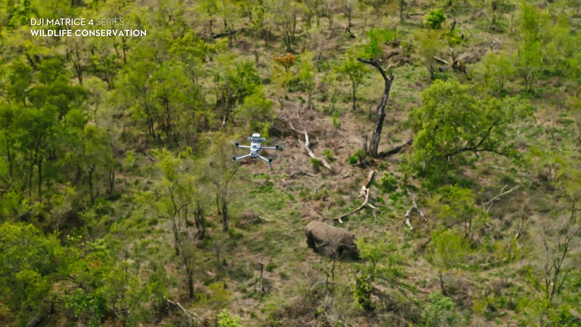 Protecting the White Rhino with DJI Matrice 4T in Sabi Sand Nature Reserve