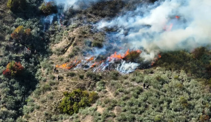 Law enforcement drone team conducting thermal drone training exercise